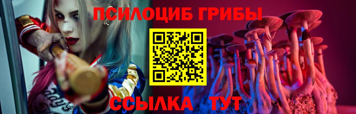 Галлюциногенные грибы GOLDEN TEACHER  Вход с VPN  Бор 